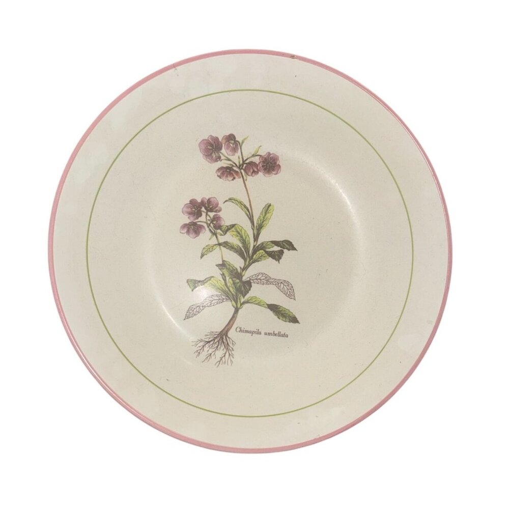Botanical Decorative Large Salad Bowl With Chimaphila Umbellata Print Made In It